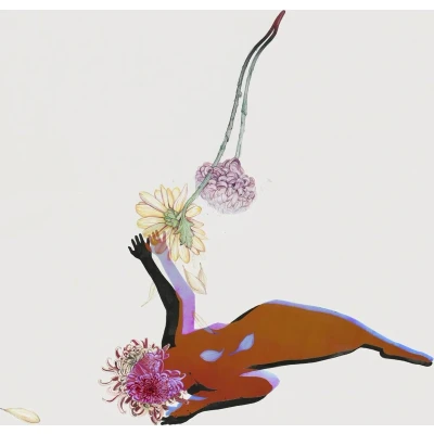 Afbeelding van Future Islands Far Field (LP)
