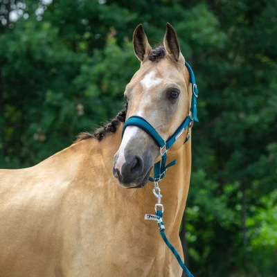 Afbeelding van Horka Halster Set Outdoor Experience Blue Coral Pony