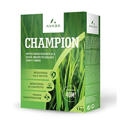 Afbeelding van LERAVA® CHAMPION graszaad voor zon 10m² droogtetolerant en waterbesparend gazonzaad loopvlakbestendig slijtvast geschikt alle locaties grondsoorten &#039;Made in Italy&#039;