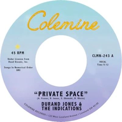 Afbeelding van Durand Jones &amp; The Indications Private Space (7&quot; Vinyl Single)