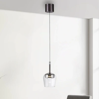 Afbeelding van Paul Neuhaus Hanglamp Q Kon zilver 2741 21