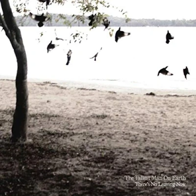 Afbeelding van Tallest Man On Earth There&#039;s No Leaving (CD)
