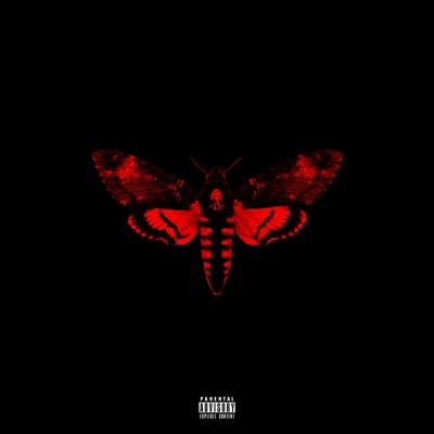 Afbeelding van Lil Wayne I Am Not A Human Being Ii (Del.Ed.)