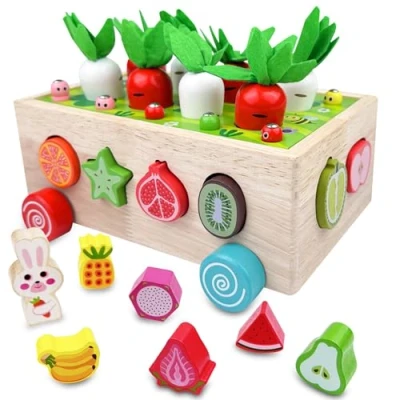 Afbeelding van Chiluxendo Montessori Games voor kinderen van 1 jaar, educatief verzamelen, geheugenspel, cadeau, kleuterschool, houten speelgoed, speelgoed meisjes en jongens om uit te gaan