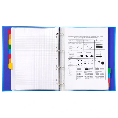Afbeelding van Exacompta ref. 4312E Witte tabbladen 160g/m2 FSC® met 12 kleurneutrale tabs versterkt en gelamineerd Afdrukbare indexpagina Formaat A4 Maxi