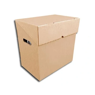 Afbeelding van Protected LP (12 inch) Smart kartonnen doos, bruin, doos