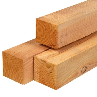 Afbeelding van Paal douglas 12,0x12,0x500 cm Tuindeco