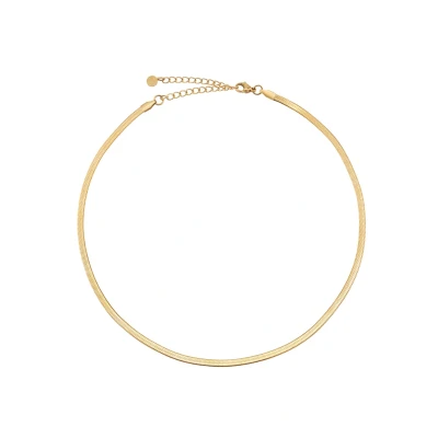 Afbeelding van slangenketting dames platte halsketting zonder hanger in zilver, goud, roségoud I (3cm breed) van waterdicht roestvrij staal (Goud)