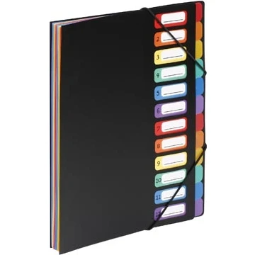 Afbeelding van Sorteermap Viquel zwart 12 tab