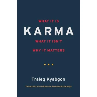 Afbeelding van Karma: What It Is, Isn&#039;t, Why Matters