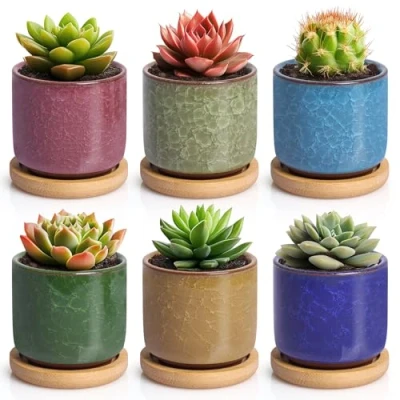 Afbeelding van T4U 6CM Succulente Plantenpot Set van 6, Gekleurde Keramiek Vetplant Bloempot met Bamboe Onderzetter, Binnen Klein Cactus Pot Afvoergat voor Sappige Aloë Kruid Kamerplant Decoratieve Geschenk