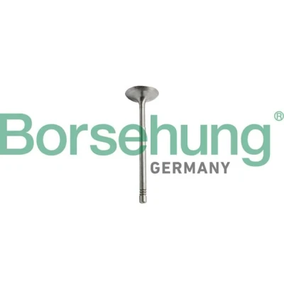 Afbeelding van Borsehung B10351 Inlaatklep