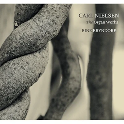 Afbeelding van Bine Bryndorf &amp; Torsten Nielsen The Organ Works (Super Audio CD)