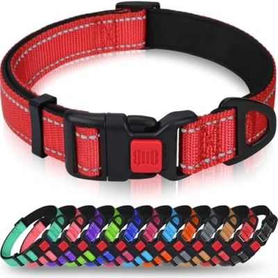 Afbeelding van Taglory Reflecterende nylon hondenhalsband met veiligheidsgesp, verstelbare halsband, zachte neopreen voering, voor kleine honden, rood