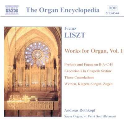 Afbeelding van Andreas Rothkopf Organ Works Volume 1 (CD)