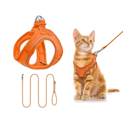 Afbeelding van Qianruida Hondenharnas, set met riem voor honden, borstband reflecterend, verstelbaar, middelgrote katten, om te wandelen, hardlopen (oranje, L)