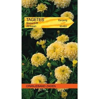 Afbeelding van Tagetes, Afrikaan Snowdrift