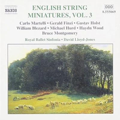 Afbeelding van Royal Ballet Sinfonia English String Miniatures 3 (CD)