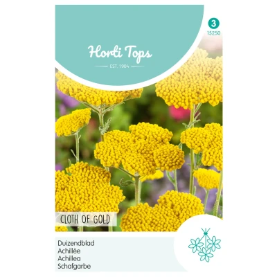 Afbeelding van Achillea, Duizendblad Cloth Of Gold