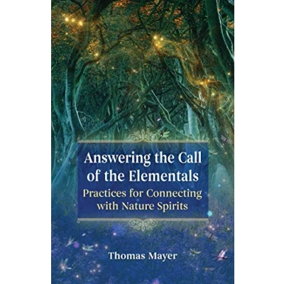Afbeelding van Answering the Call of Elementals
