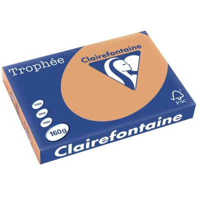 Afbeelding van Clairefontaine Trophée Pastel, gekleurd papier, A3, 160 g, 250 vel, mokkabruin papier