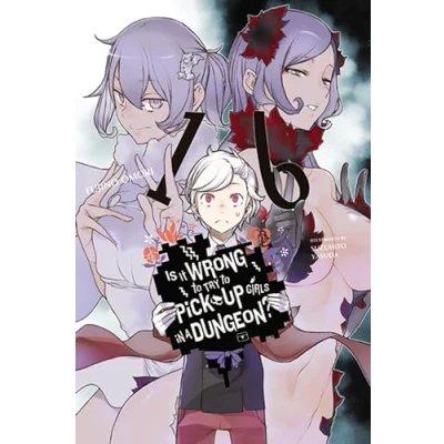 Afbeelding van IS WRONG PICK UP GIRLS DUNGEON NOVEL 16
