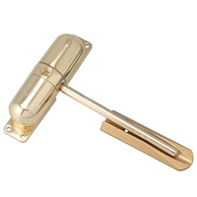 Afbeelding van Sterling DCB209 DCB Messing, Opbouwmontage, Veerbelaste deurdranger, wit, gepolijst chroom, satijn zwart