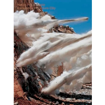 Afbeelding van Naoya Hatakeyama: Excavating the Future City