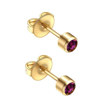 Afbeelding van Caflon 4mm 24K gold plated oorknopjes voor oorschieter hypoallergeen steriel verpakt goudkleurig met amethyst steen geboortesteen februari