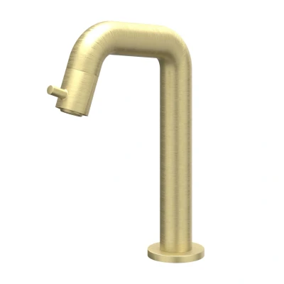 Afbeelding van IVY Bond fonteinkraan contour model S Geborsteld Mat Goud PVD