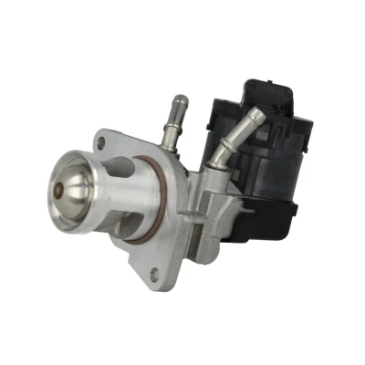 Afbeelding van Wahler EGR klep 710327D