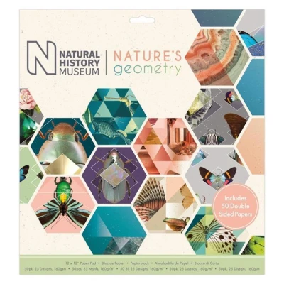 Afbeelding van 12 x 12&quot; Paper Pad (50pk) Nature&#039;s Geometry