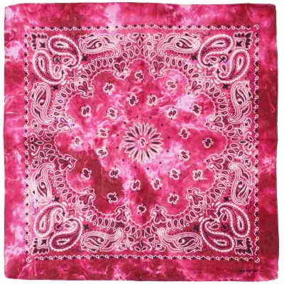 Afbeelding van Zac&#039;s Alter Ego Fuchsia Pink Shaded Paisley Bandana Roze