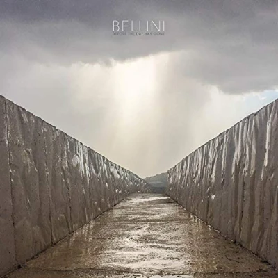 Afbeelding van Bellini Before The Day Has Gone (CD)