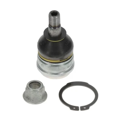 Afbeelding van Moog Fuseekogel MD BJ 2291