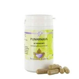 Afbeelding van Holisan Punarnava Capsules 60CP