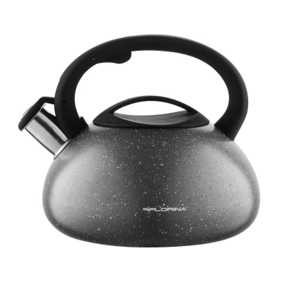 Afbeelding van Florina Lava fluitketel RVS met steen coating 2,5L voor alle warmtebronnen Waterketel Waterkoker Cool touch handvat zwart / grijs