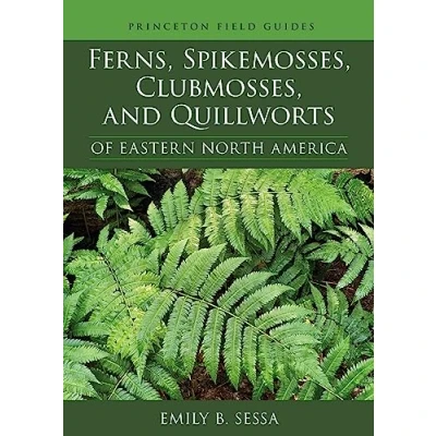 Afbeelding van Ferns, Spikemosses, Clubmosses, and Quillworts of Eastern North America: 150