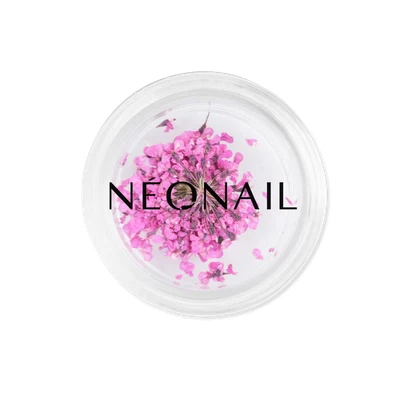 Afbeelding van NEONAIL The Muse in You Collection