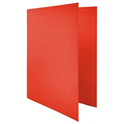 Afbeelding van Raylu Paper® 4 x D ringband 25 mm, A4 met ringen voor het opbergen van documenten, formaat 33,5 cm hoog 26 breed en dikke rug (rood)