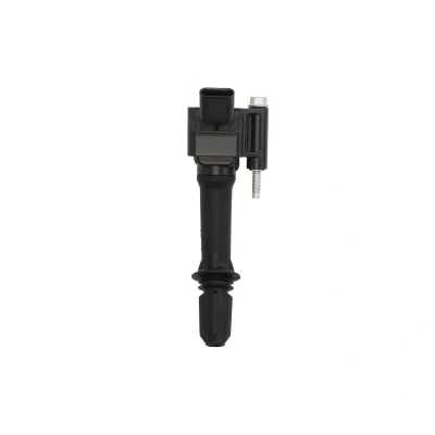 Afbeelding van Bobine DELPHI GN10797 12B1