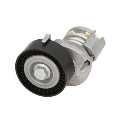 Afbeelding van Ina Spanner poly V riem 534 0123 20