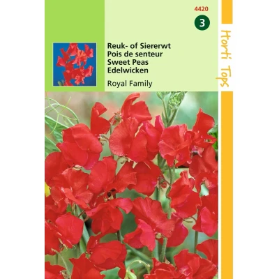Afbeelding van 2 stuks Hortitops Lathyrus Odor. Royal Family Rood