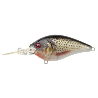 Afbeelding van Spro Ikiru Crank Long Lip (diepte 2.5m) 6cm 14g Kleur : Roach