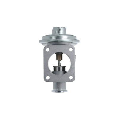 Afbeelding van EGR klep VALEO 703239