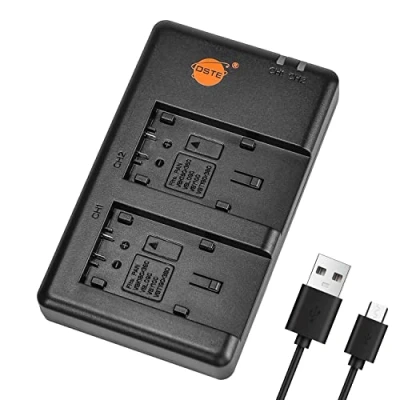 Afbeelding van DSTE Fast Charging USB Dual Battery Charger Compatible voor Panasonic VW VBK180,VW VBK360,VW VBL090,VW VBY100,VW VBT190,VW VBT380,HC V100M, HC V110,HC V110K, V520MGK, V720GK, W850M, W858