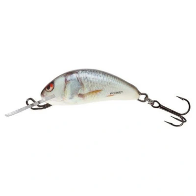 Afbeelding van Real Dace Hornet Floating Salmo