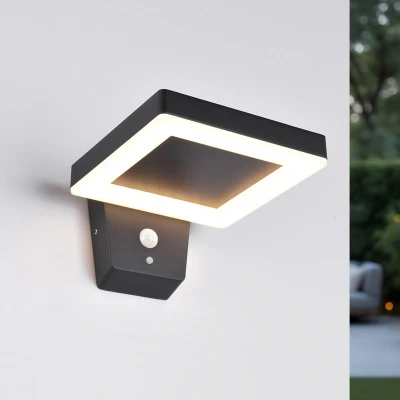 Afbeelding van Solar wandlamp Pablo met sensor