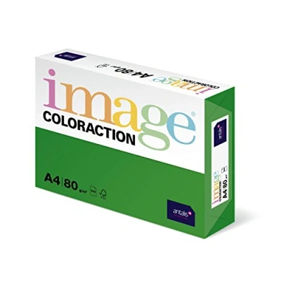 Afbeelding van Image Coloraction gekleurd kopieerpapier Dublin/donkergroen 80g/m² A4 pakket van 500 vellen
