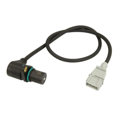 Afbeelding van Delphi Diesel Krukas positiesensor SS11019